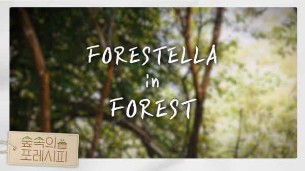 Forestella【公式リアリティーショー】フォレステラの森のレシピ